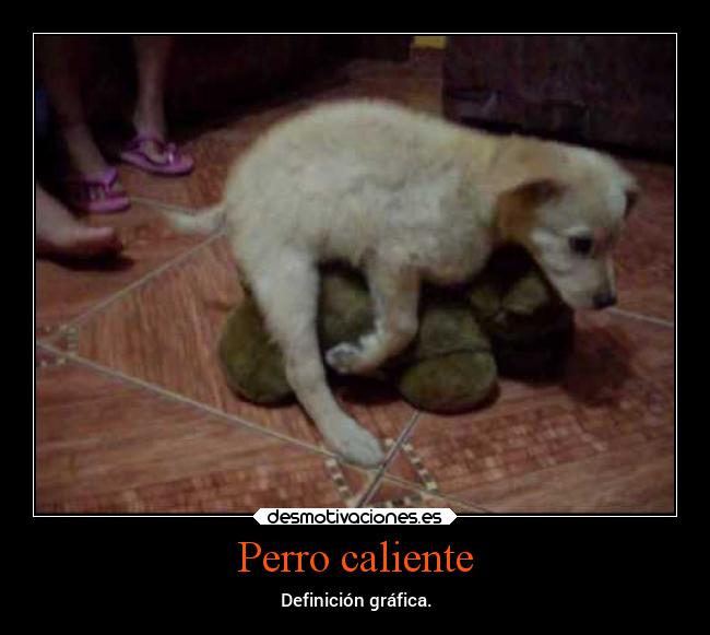 Perro caliente -