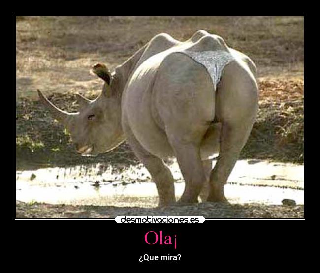 carteles sexo rino desmotivaciones