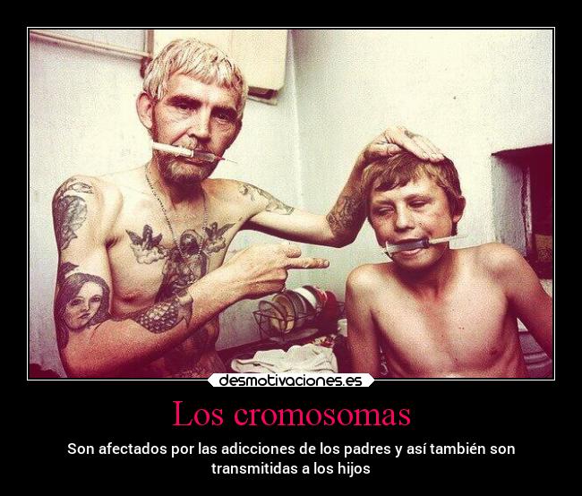 carteles sociedad padres familia malejemplo killerfrases desmotivaciones