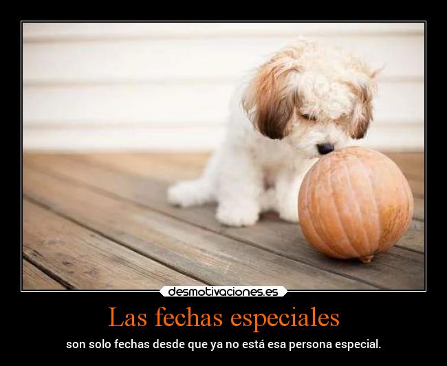 Las fechas especiales - 
