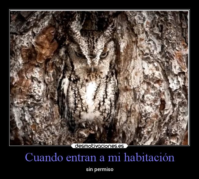 Cuando entran a mi habitación - sin permiso