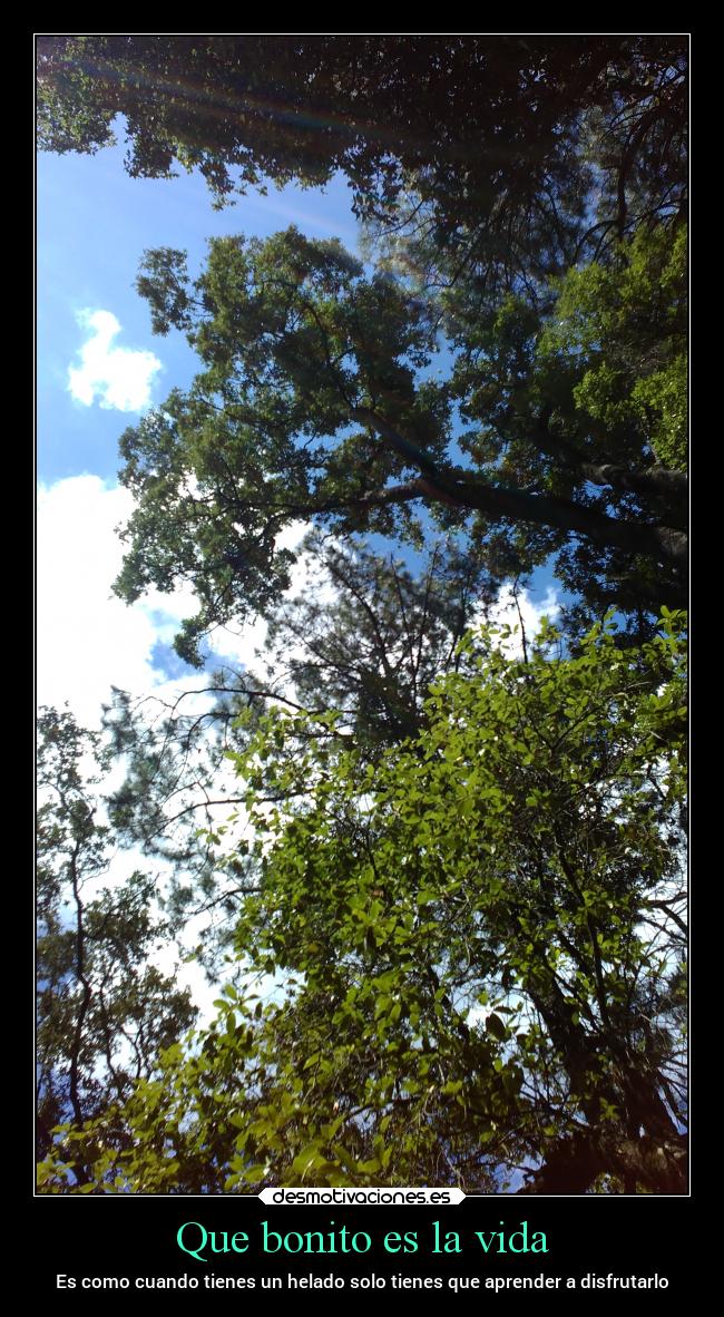 Que bonito es la vida -