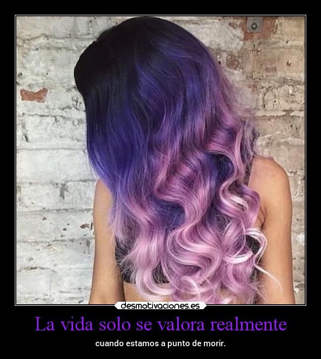 La vida solo se valora realmente - cuando estamos a punto de morir.