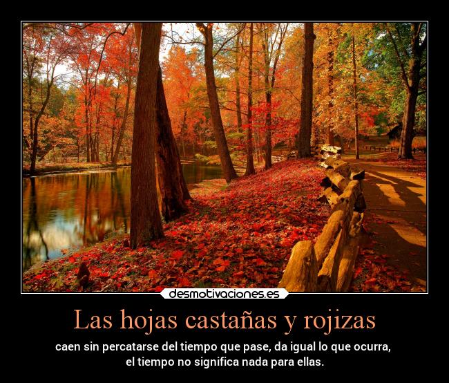 Las hojas castañas y rojizas - caen sin percatarse del tiempo que pase, da igual lo que ocurra, 
el tiempo no significa nada para ellas.