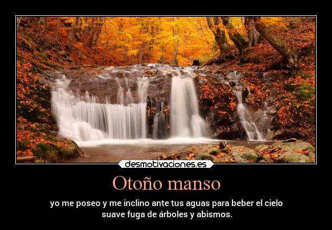 Otoño manso - yo me poseo y me inclino ante tus aguas para beber el cielo
 suave fuga de árboles y abismos.