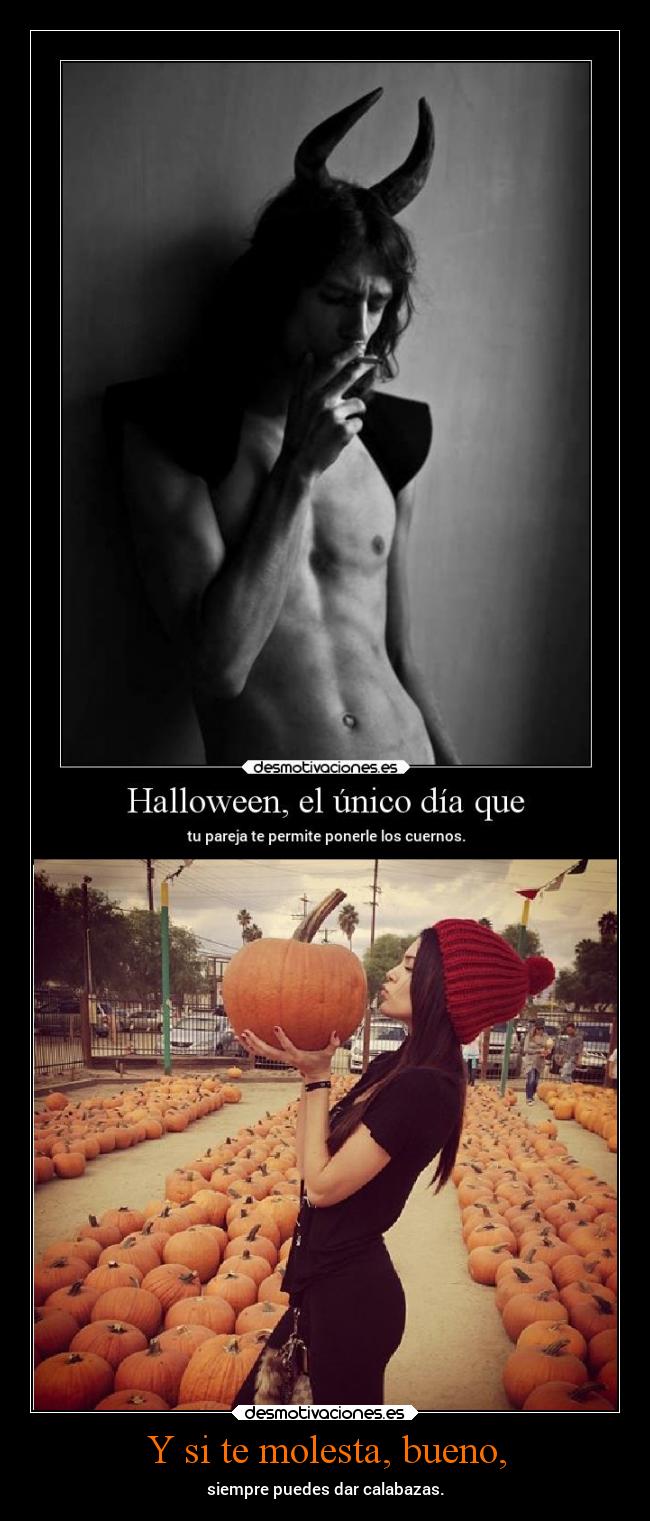 carteles vida humor mentira cuernos erosekai desmohalloween desmotivaciones