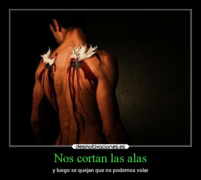 Nos cortan las alas - y luego se quejan que no podemos volar