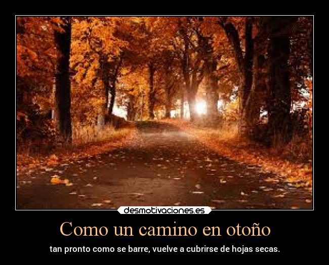 Como un camino en otoño - tan pronto como se barre, vuelve a cubrirse de hojas secas.