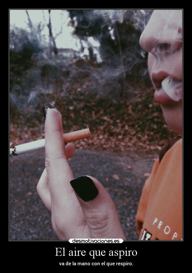 carteles vida nosequemepajo desmotivaciones