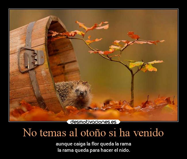 No temas al otoño si ha venido - aunque caiga la flor queda la rama
la rama queda para hacer el nido.