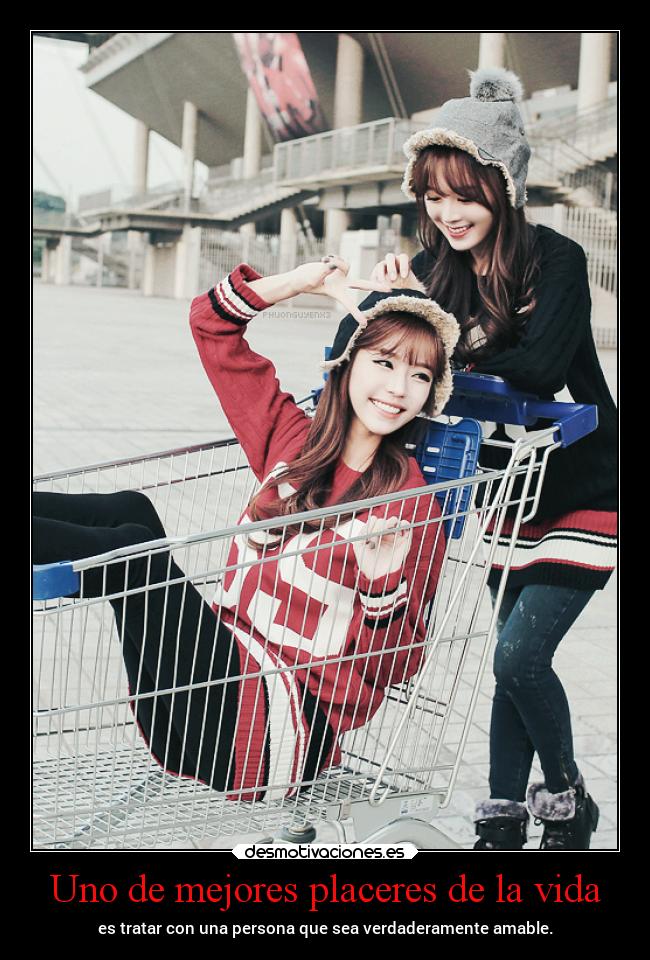 carteles vida vida pensamientos amistad alegria motivaciones desmotivaciones