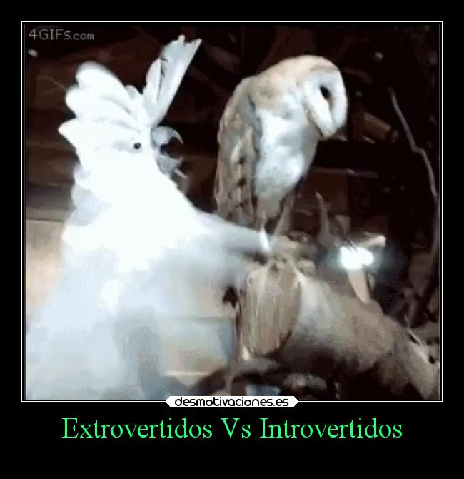 Extrovertidos Vs Introvertidos -