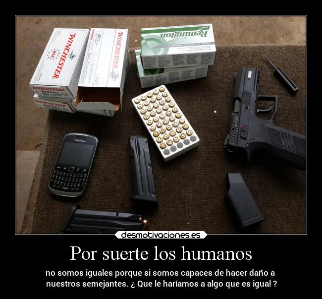 carteles vida sociedad politica pensamientos miedo dingoo desmotivaciones