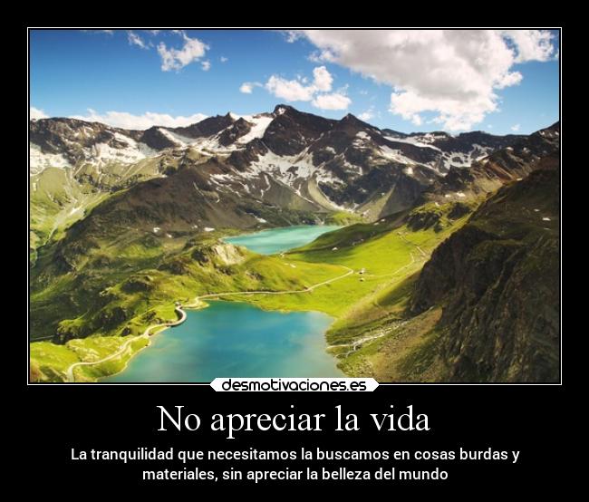 No apreciar la vida - La tranquilidad que necesitamos la buscamos en cosas burdas y
materiales, sin apreciar la belleza del mundo