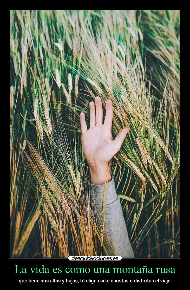 La vida es como una montaña rusa - que tiene sus altas y bajas, tú eliges si te asustas o disfrutas el viaje.