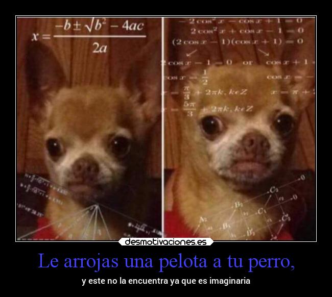 Le arrojas una pelota a tu perro, - y este no la encuentra ya que es imaginaria