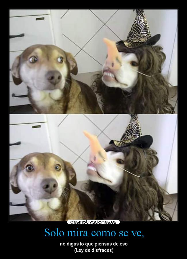 Solo mira como se ve, - no digas lo que piensas de eso
(Ley de disfraces)