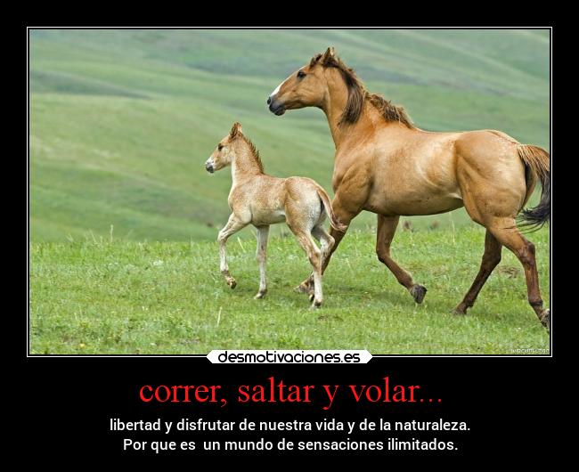 correr, saltar y volar... - libertad y disfrutar de nuestra vida y de la naturaleza.
Por que es un mundo de sensaciones ilimitados.