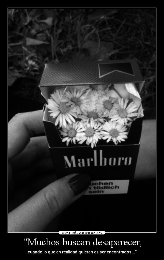 Muchos buscan desaparecer, - 