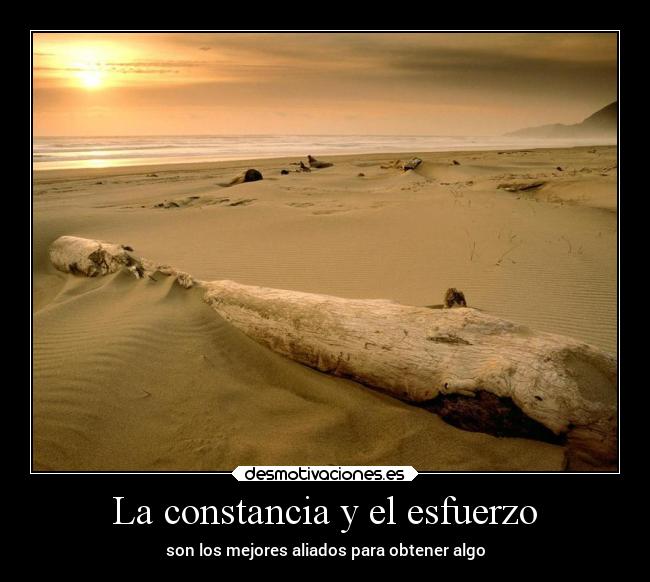 La constancia y el esfuerzo - son los mejores aliados para obtener algo