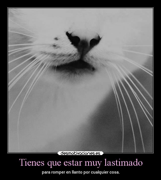 Tienes que estar muy lastimado - para romper en llanto por cualquier cosa.