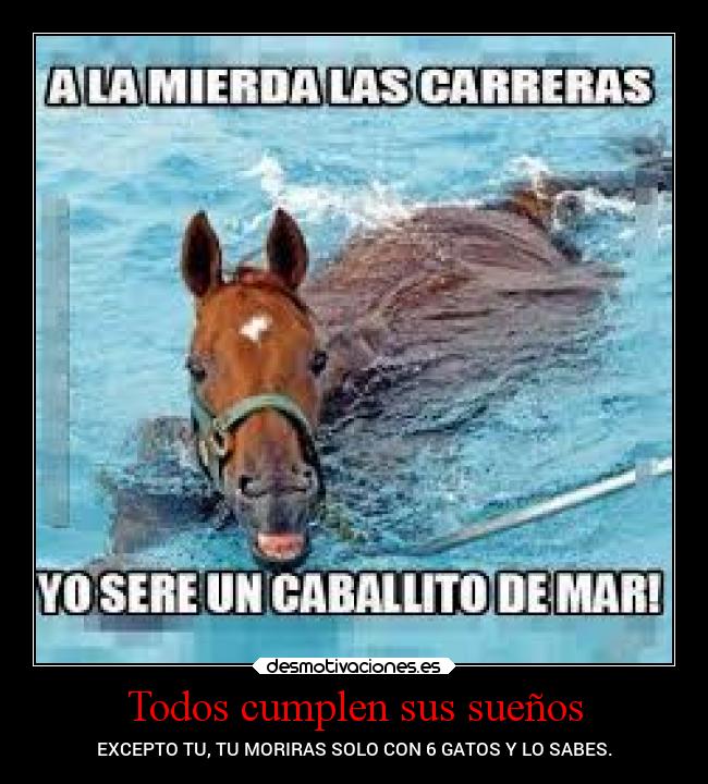 Todos cumplen sus sueños - EXCEPTO TU, TU MORIRAS SOLO CON 6 GATOS Y LO SABES.