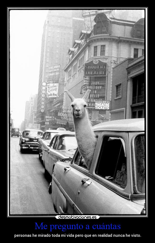 Me pregunto a cuántas - 