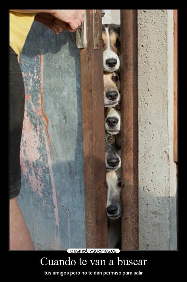 Cuando te van a buscar -