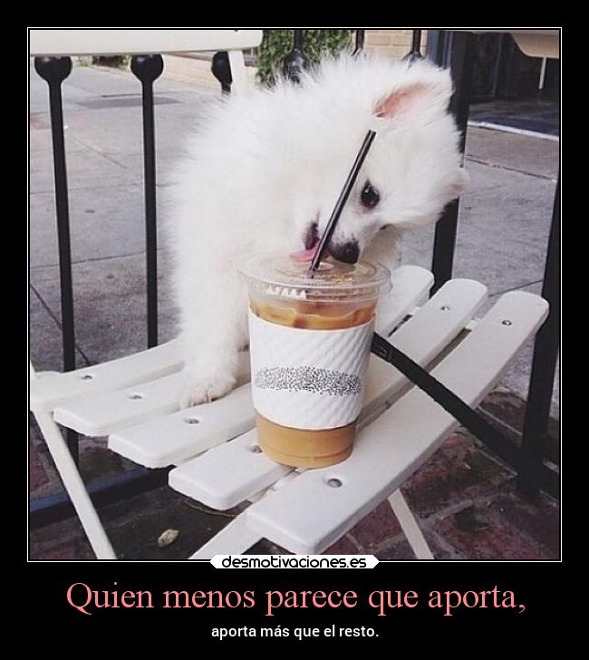 Quien menos parece que aporta, - aporta más que el resto.