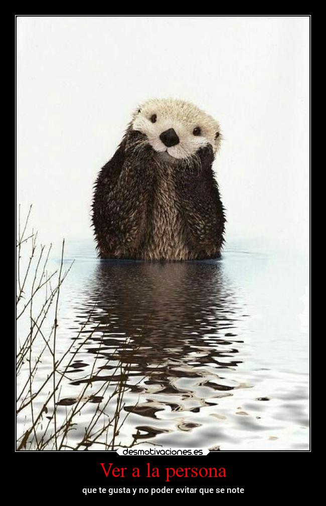 Ver a la persona - 