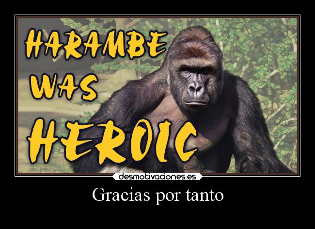Gracias por tanto -