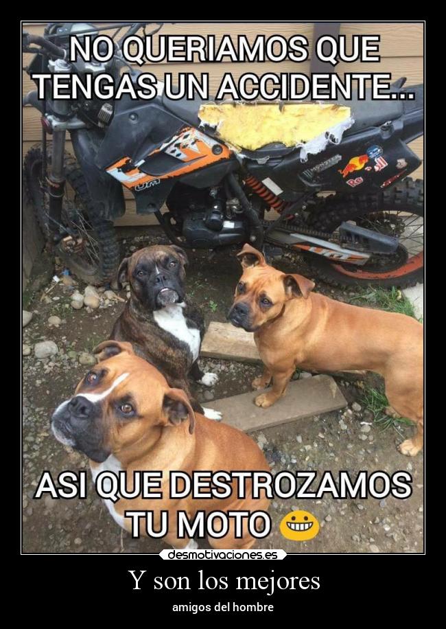 Y son los mejores - 