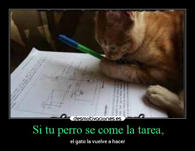 Si tu perro se come la tarea, - el gato la vuelve a hacer