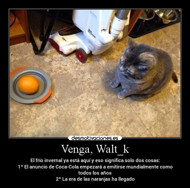 carteles animales gatos comida navidad hook waltk desmotivaciones