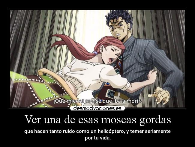 Ver una de esas moscas gordas - 