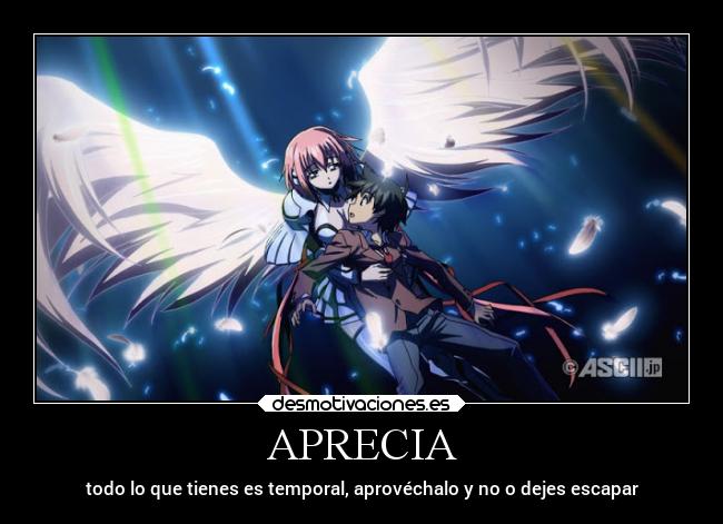 carteles anime desmotivaciones