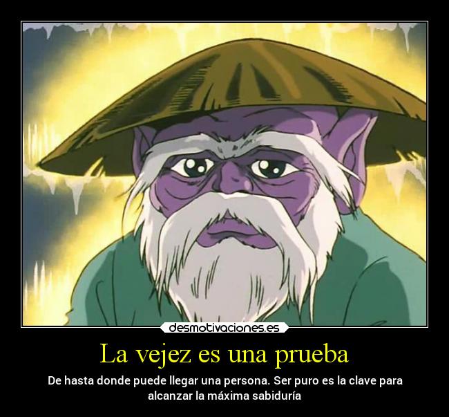 carteles anime vida sabiduria desmotivaciones