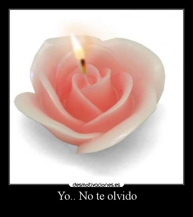 carteles ausencia desmotivaciones