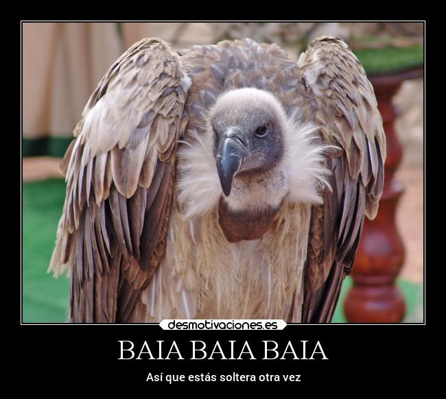 BAIA BAIA BAIA - Así que estás soltera otra vez