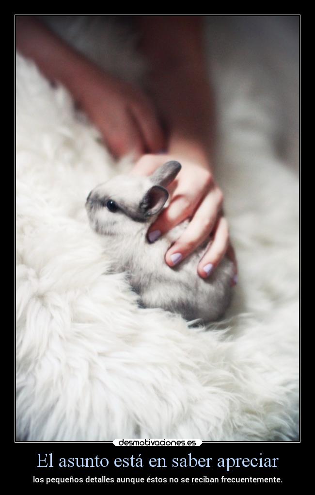 El asunto está en saber apreciar - los pequeños detalles aunque éstos no se reciban frecuentemente.