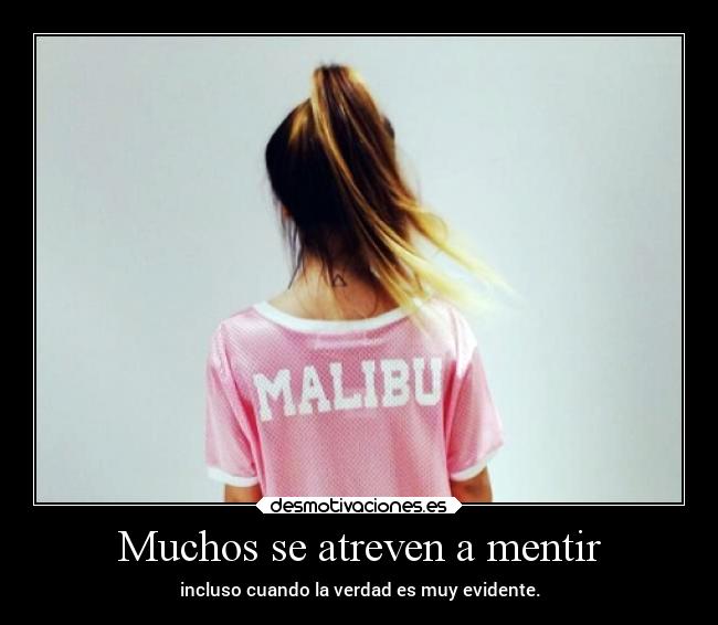 carteles caracter mentira gatodelentes clandesplazado verguenza desmotivaciones