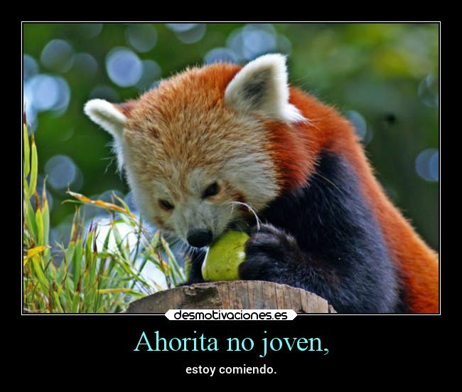 Ahorita no joven, - estoy comiendo.