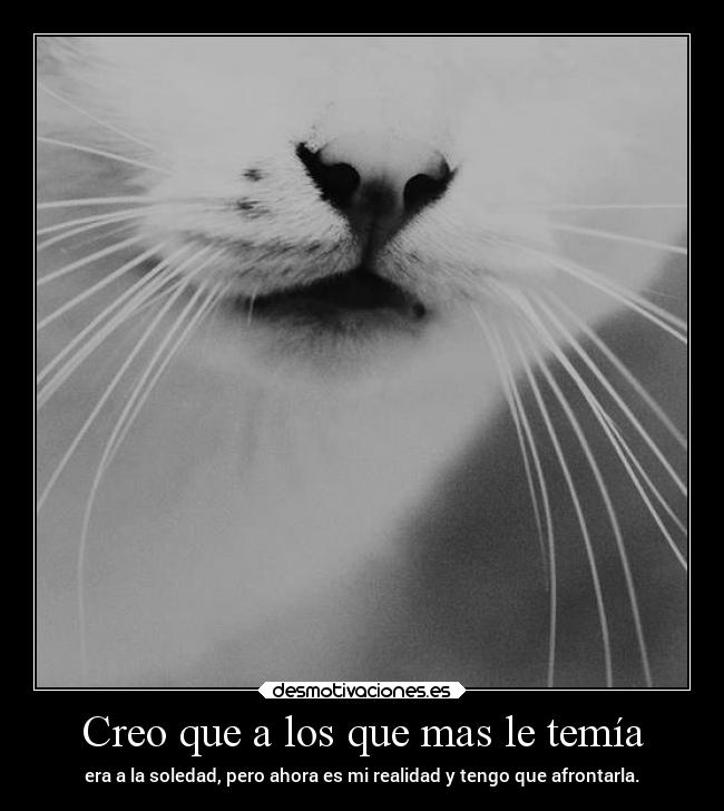 Creo que a los que mas le temía - era a la soledad, pero ahora es mi realidad y tengo que afrontarla.