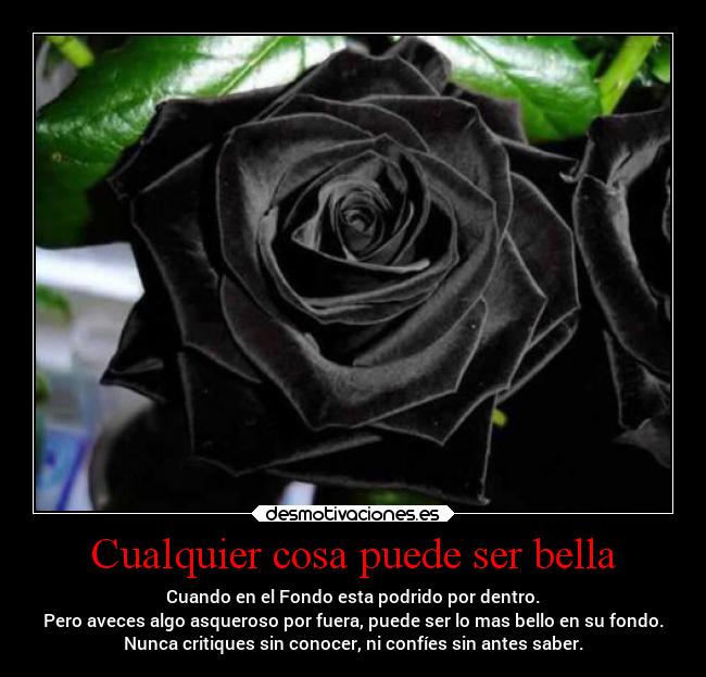 Cualquier cosa puede ser bella - Cuando en el Fondo esta podrido por dentro.
Pero aveces algo asqueroso por fuera, puede ser lo mas bello en su fondo.
Nunca critiques sin conocer, ni confíes sin antes saber.