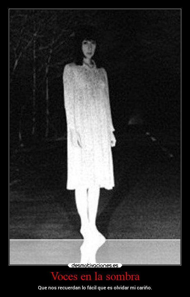 carteles corazon qolvidayextrana todoesfortalezaysabiduria xoxo sombrassintemores desmotivaciones