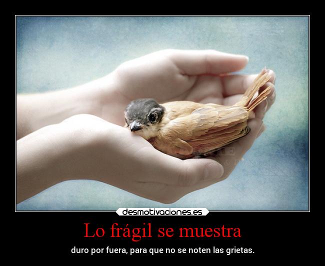 Lo frágil se muestra -