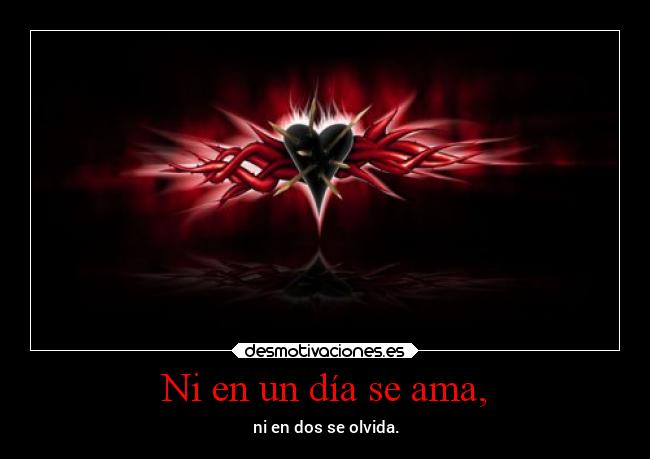 Ni en un día se ama, - ni en dos se olvida.