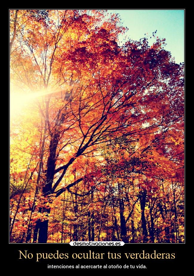 No puedes ocultar tus verdaderas - intenciones al acercarte al otoño de tu vida.