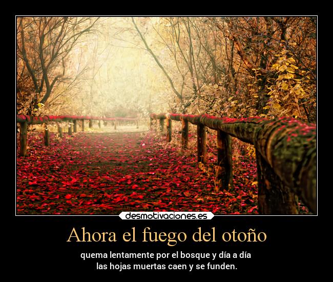 Ahora el fuego del otoño - 