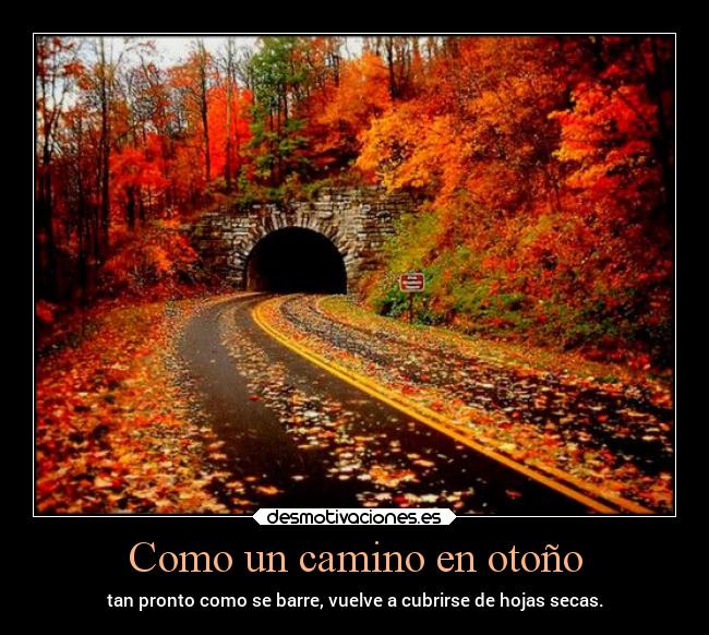 Como un camino en otoño | Desmotivaciones